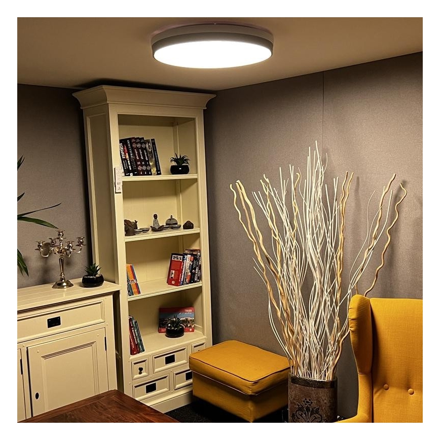 LED Dimmable ceiling light LED/48W/230V 2700-6500K Wi-Fi Tuya + remote control