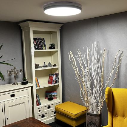 LED Dimmable ceiling light LED/48W/230V 2700-6500K Wi-Fi Tuya + remote control
