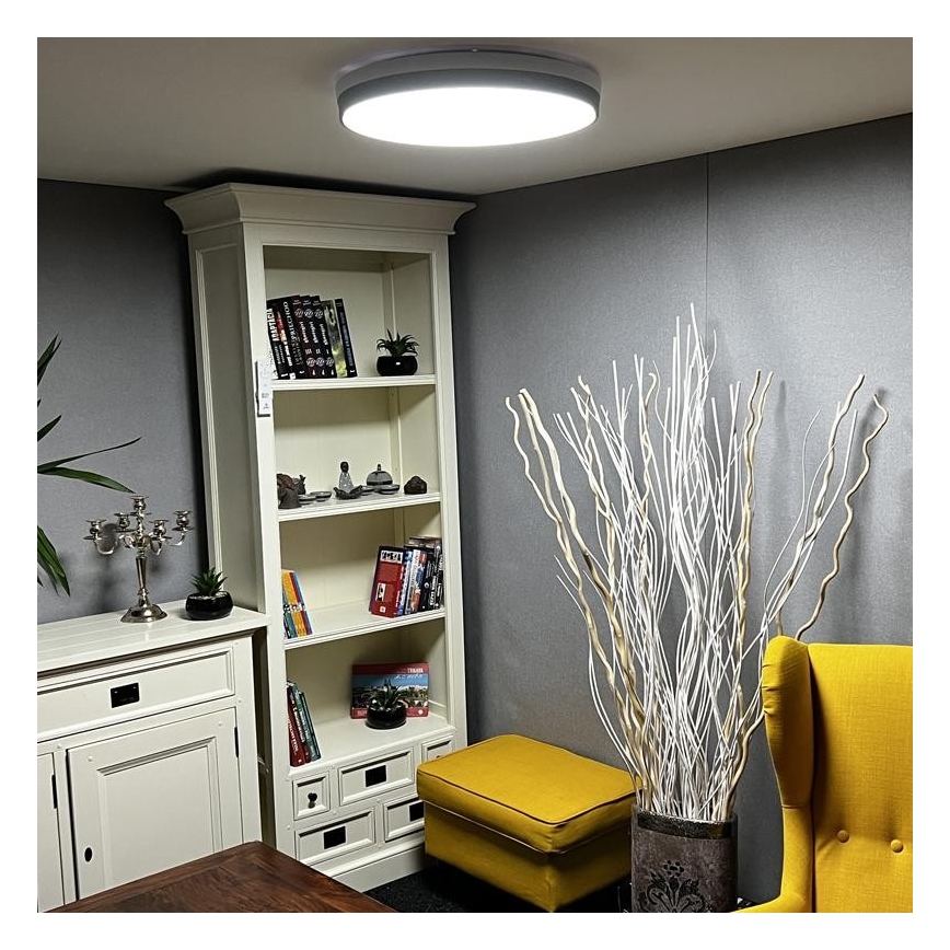 LED Dimmable ceiling light LED/48W/230V 2700-6500K Wi-Fi Tuya + remote control