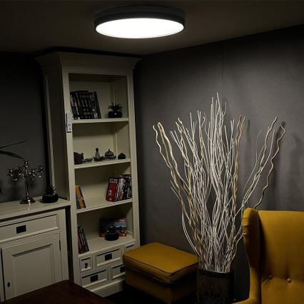 LED Dimmable ceiling light LED/48W/230V 2700-6500K Wi-Fi Tuya + remote control