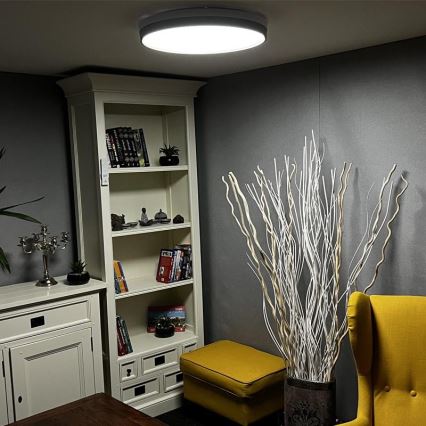 LED Dimmable ceiling light LED/48W/230V 2700-6500K Wi-Fi Tuya + remote control