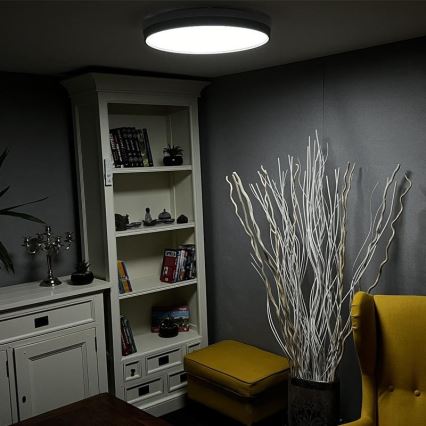 LED Dimmable ceiling light LED/48W/230V 2700-6500K Wi-Fi Tuya + remote control