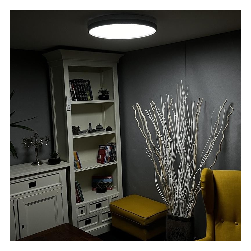 LED Dimmable ceiling light LED/48W/230V 2700-6500K Wi-Fi Tuya + remote control