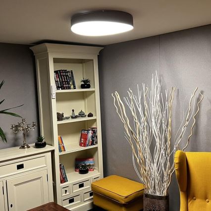 LED Dimmable ceiling light LED/48W/230V 2700-6500K Wi-Fi Tuya + remote control