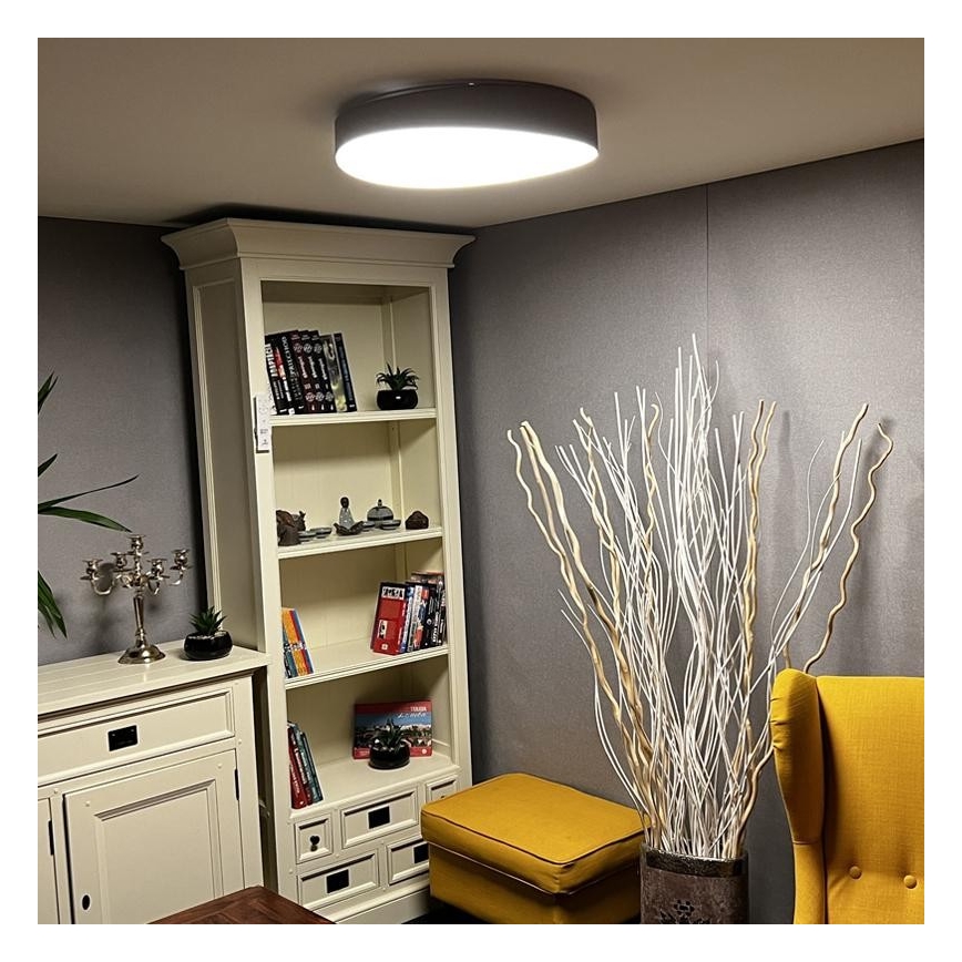 LED Dimmable ceiling light LED/48W/230V 2700-6500K Wi-Fi Tuya + remote control