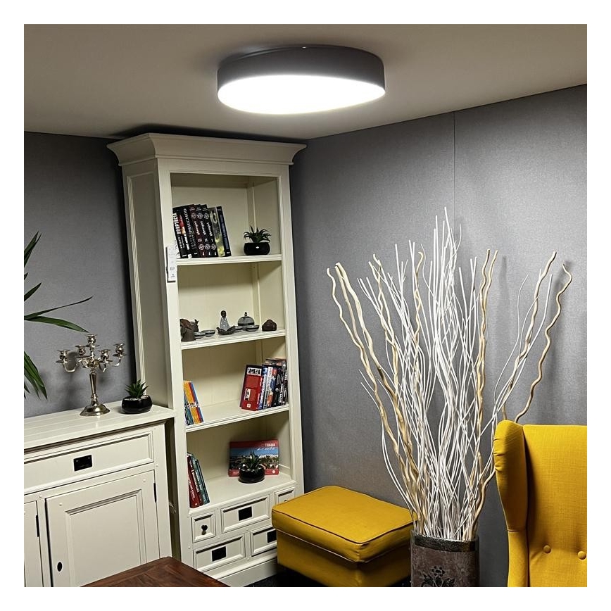 LED Dimmable ceiling light LED/48W/230V 2700-6500K Wi-Fi Tuya + remote control