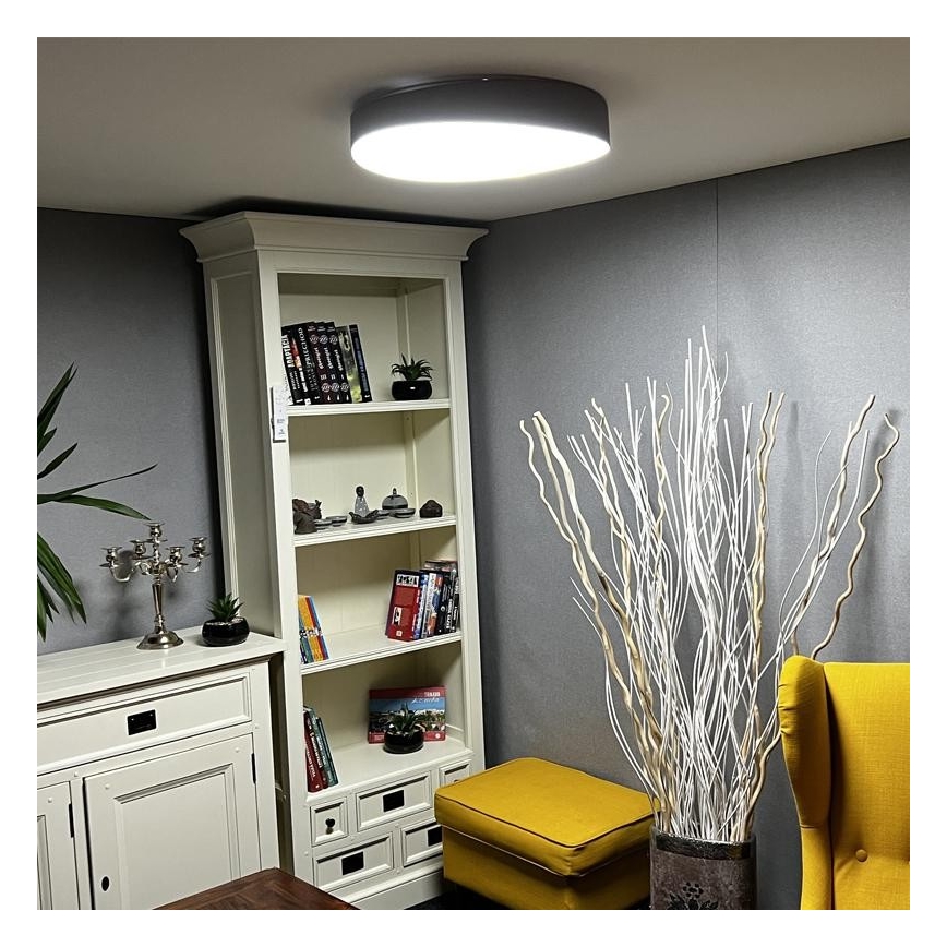 LED Dimmable ceiling light LED/48W/230V 2700-6500K Wi-Fi Tuya + remote control
