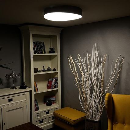 LED Dimmable ceiling light LED/48W/230V 2700-6500K Wi-Fi Tuya + remote control