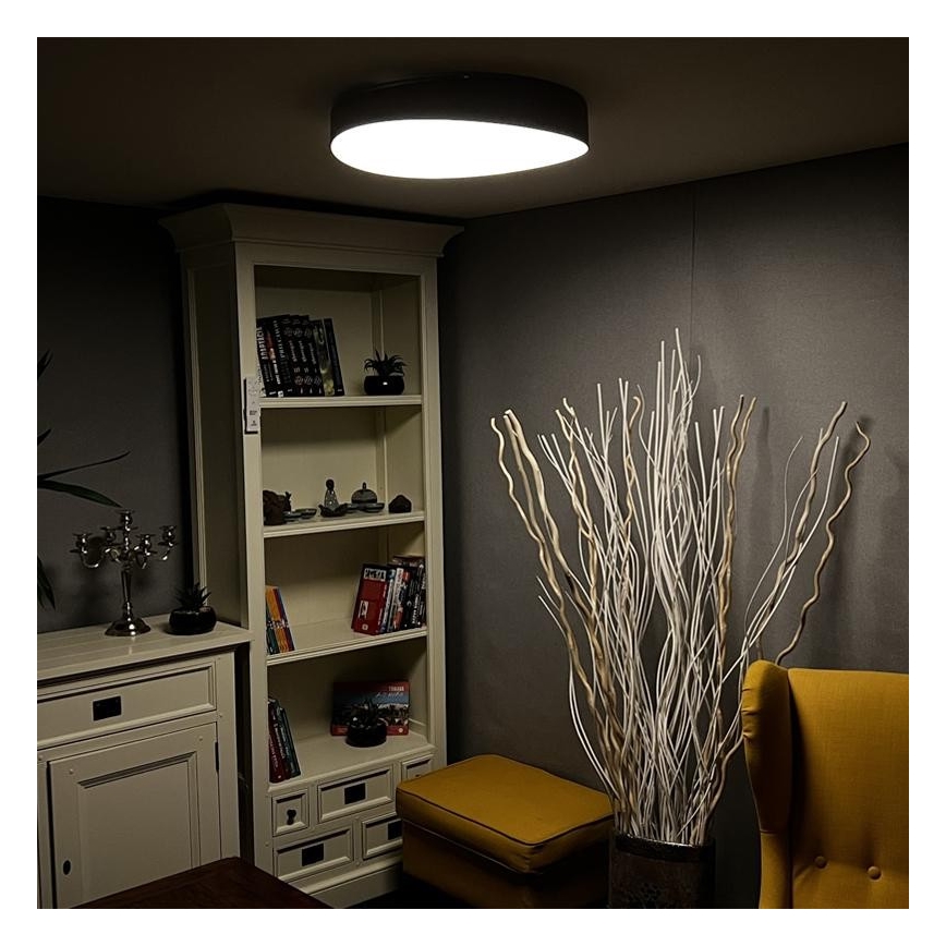 LED Dimmable ceiling light LED/48W/230V 2700-6500K Wi-Fi Tuya + remote control