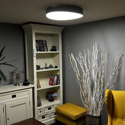 LED Dimmable ceiling light LED/48W/230V 2700-6500K Wi-Fi Tuya + remote control