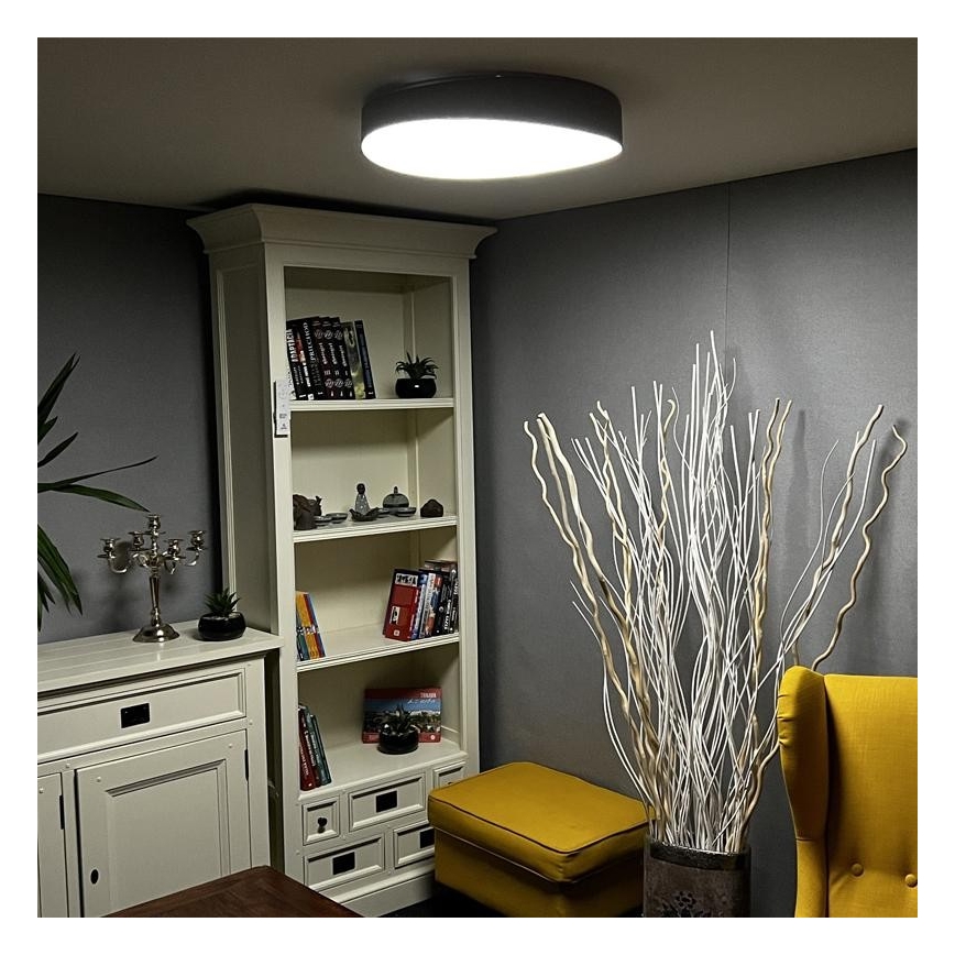 LED Dimmable ceiling light LED/48W/230V 2700-6500K Wi-Fi Tuya + remote control