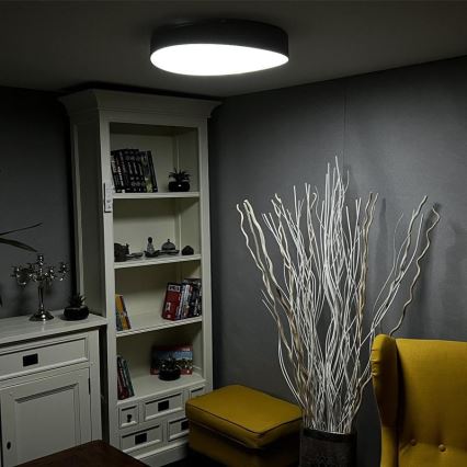 LED Dimmable ceiling light LED/48W/230V 2700-6500K Wi-Fi Tuya + remote control