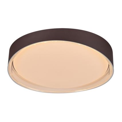 LED Dimmable ceiling light LED/48W/230V 2700-6500K Wi-Fi Tuya + remote control