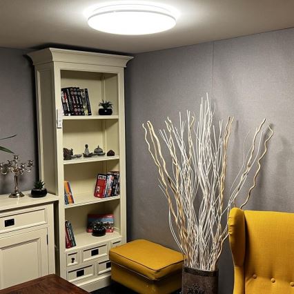 LED Dimmable ceiling light LED/48W/230V 2700-6500K Wi-Fi Tuya + remote control