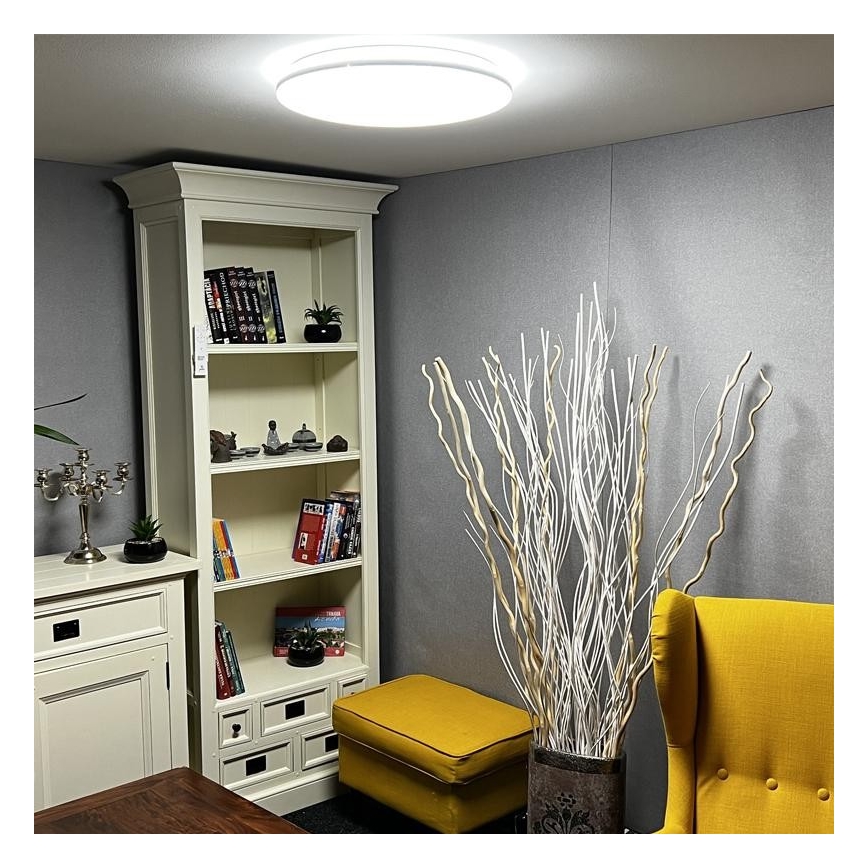 LED Dimmable ceiling light LED/48W/230V 2700-6500K Wi-Fi Tuya + remote control