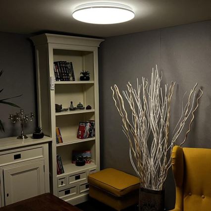 LED Dimmable ceiling light LED/48W/230V 2700-6500K Wi-Fi Tuya + remote control