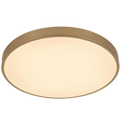 LED Dimmable ceiling light LED/48W/230V 2700-6500K Wi-Fi Tuya + remote control