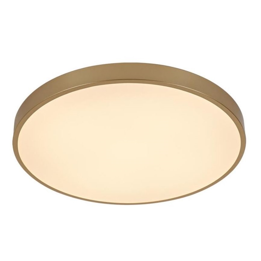 LED Dimmable ceiling light LED/48W/230V 2700-6500K Wi-Fi Tuya + remote control