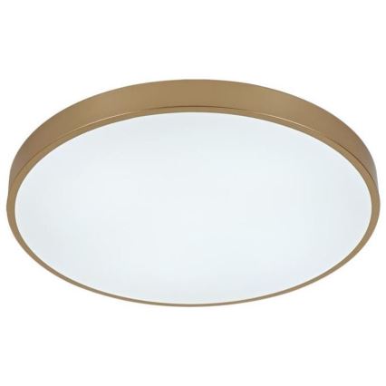 LED Dimmable ceiling light LED/48W/230V 2700-6500K Wi-Fi Tuya + remote control