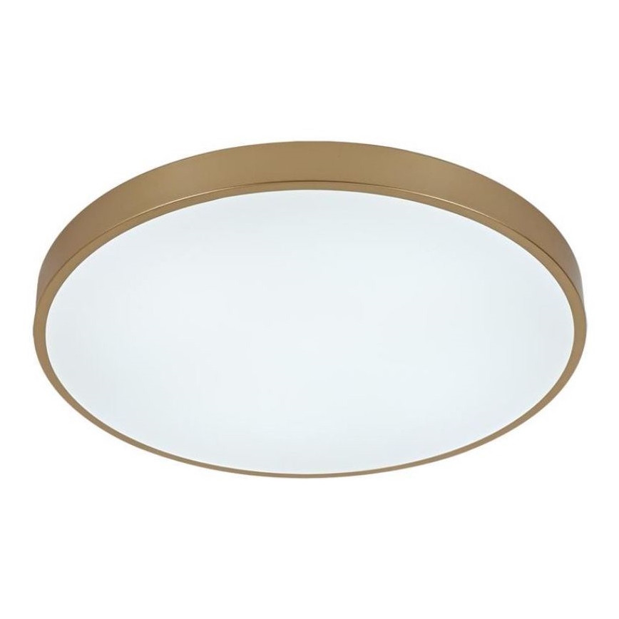 LED Dimmable ceiling light LED/48W/230V 2700-6500K Wi-Fi Tuya + remote control