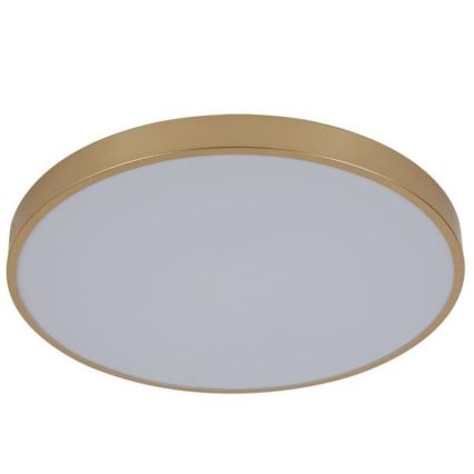 LED Dimmable ceiling light LED/48W/230V 2700-6500K Wi-Fi Tuya + remote control