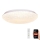 LED Dimmable ceiling light LED/48W/230V 2700-6500K Wi-Fi Tuya + remote control