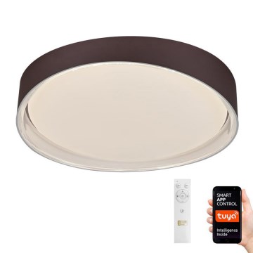 LED Dimmable ceiling light LED/48W/230V 2700-6500K Wi-Fi Tuya + remote control