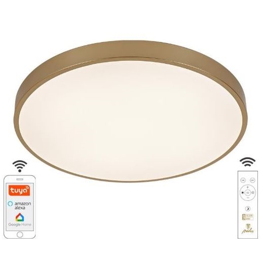 LED Dimmable ceiling light LED/48W/230V 2700-6500K Wi-Fi Tuya + remote control