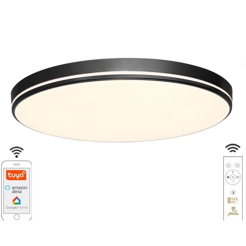 LED Dimmable ceiling light LED/48W/230V 2700-6500K Wi-Fi Tuya + remote control