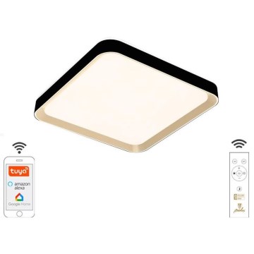 LED Dimmable ceiling light LED/48W/230V 2700-6500K Wi-Fi Tuya + remote control