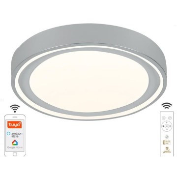LED Dimmable ceiling light LED/48W/230V 2700-6500K Wi-Fi Tuya + remote control