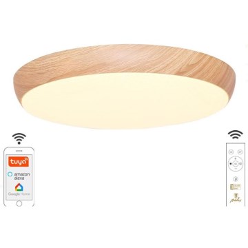 LED Dimmable ceiling light LED/48W/230V 2700-6500K Wi-Fi Tuya + remote control