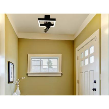 LED Dimmable ceiling light LED/50W/230V 3000-6500K black + remote control