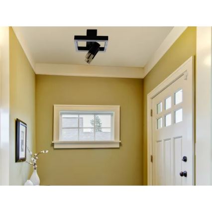 LED Dimmable ceiling light LED/50W/230V 3000-6500K black + remote control
