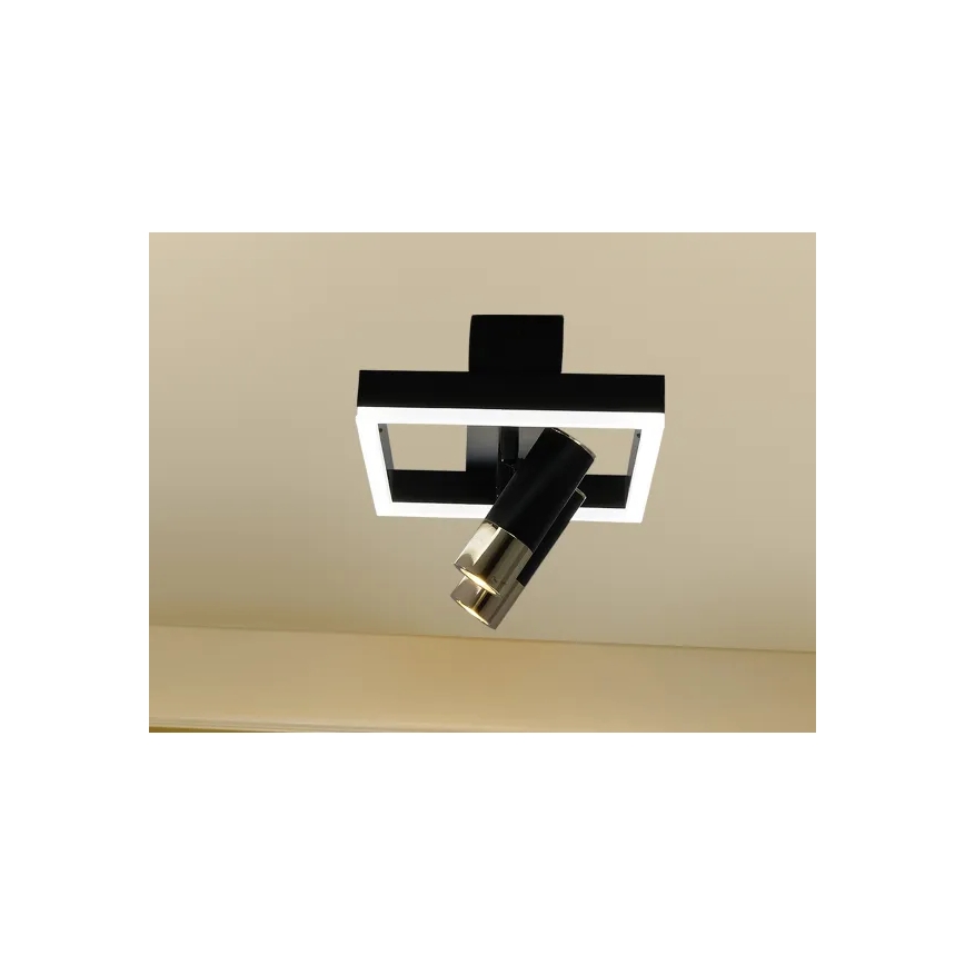 LED Dimmable ceiling light LED/50W/230V 3000-6500K black + remote control