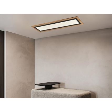 LED Dimmable Ceiling Light LED/55W/230V 3000-6500K + Remote Control