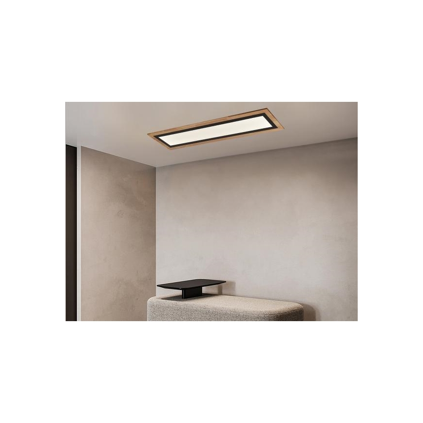 LED Dimmable Ceiling Light LED/55W/230V 3000-6500K + Remote Control