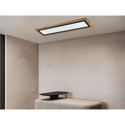LED Dimmable Ceiling Light LED/55W/230V 3000-6500K + Remote Control