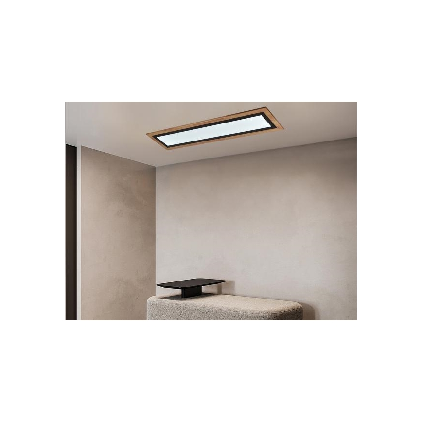 LED Dimmable Ceiling Light LED/55W/230V 3000-6500K + Remote Control