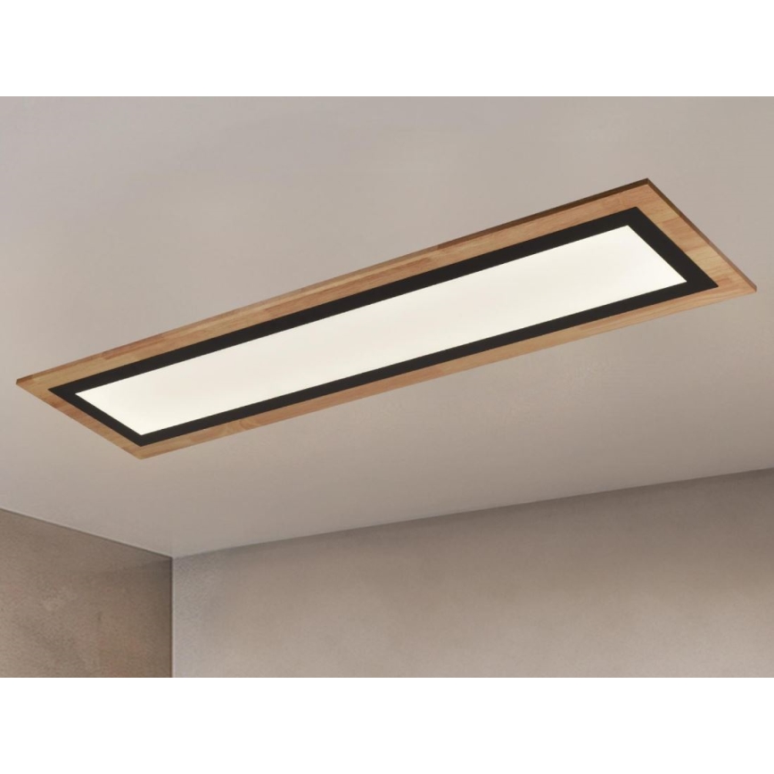 LED Dimmable Ceiling Light LED/55W/230V 3000-6500K + Remote Control