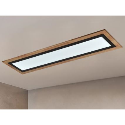 LED Dimmable Ceiling Light LED/55W/230V 3000-6500K + Remote Control