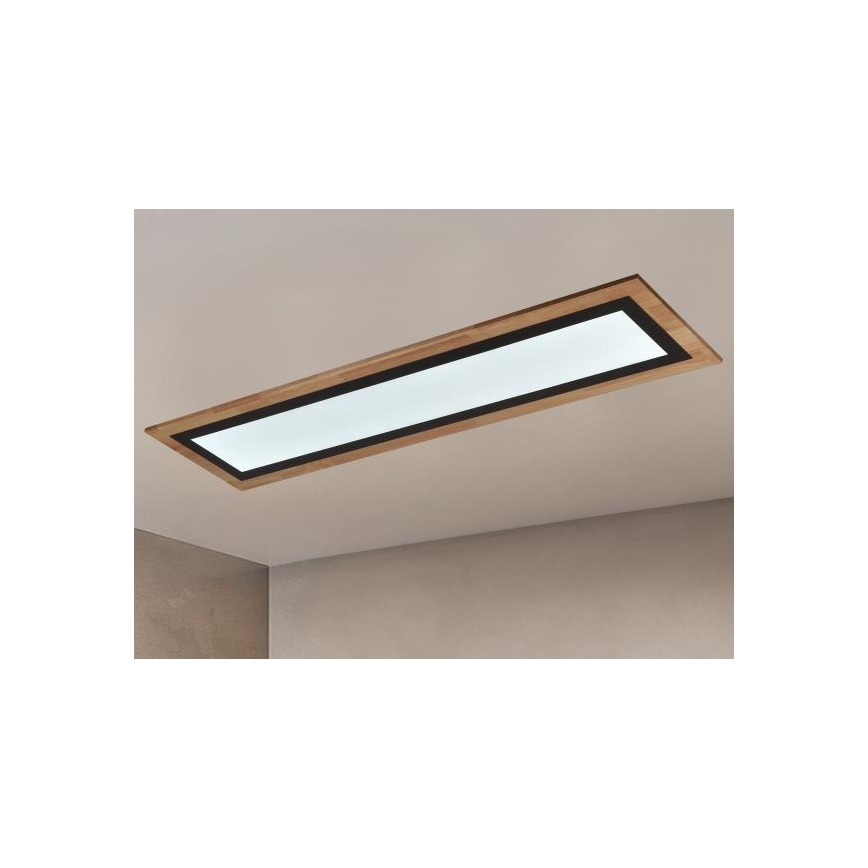 LED Dimmable Ceiling Light LED/55W/230V 3000-6500K + Remote Control