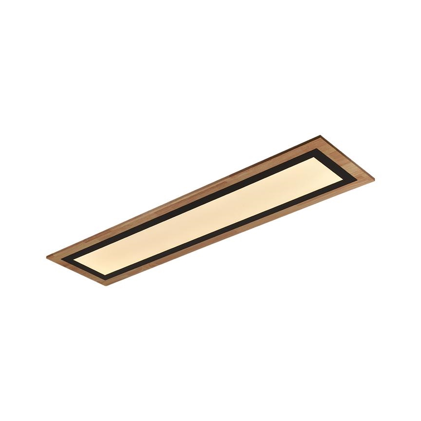LED Dimmable Ceiling Light LED/55W/230V 3000-6500K + Remote Control
