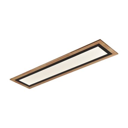 LED Dimmable Ceiling Light LED/55W/230V 3000-6500K + Remote Control