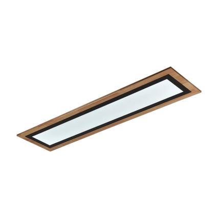 LED Dimmable Ceiling Light LED/55W/230V 3000-6500K + Remote Control
