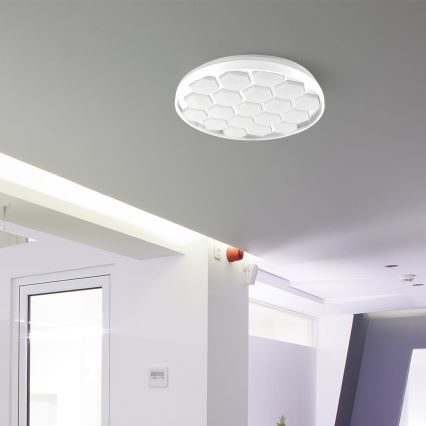 LED Dimmable ceiling light LED/60W/230V 3000/4000/6500K + remote control