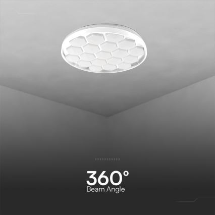 LED Dimmable ceiling light LED/60W/230V 3000/4000/6500K + remote control