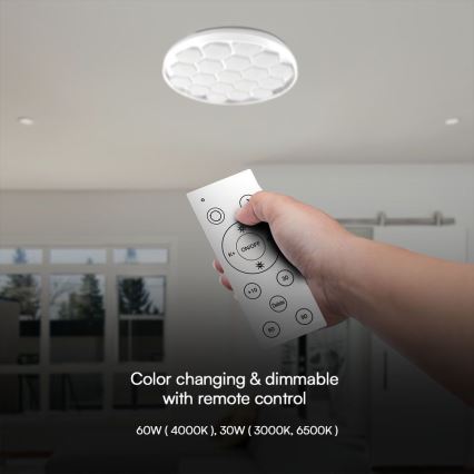 LED Dimmable ceiling light LED/60W/230V 3000/4000/6500K + remote control
