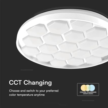 LED Dimmable ceiling light LED/60W/230V 3000/4000/6500K + remote control