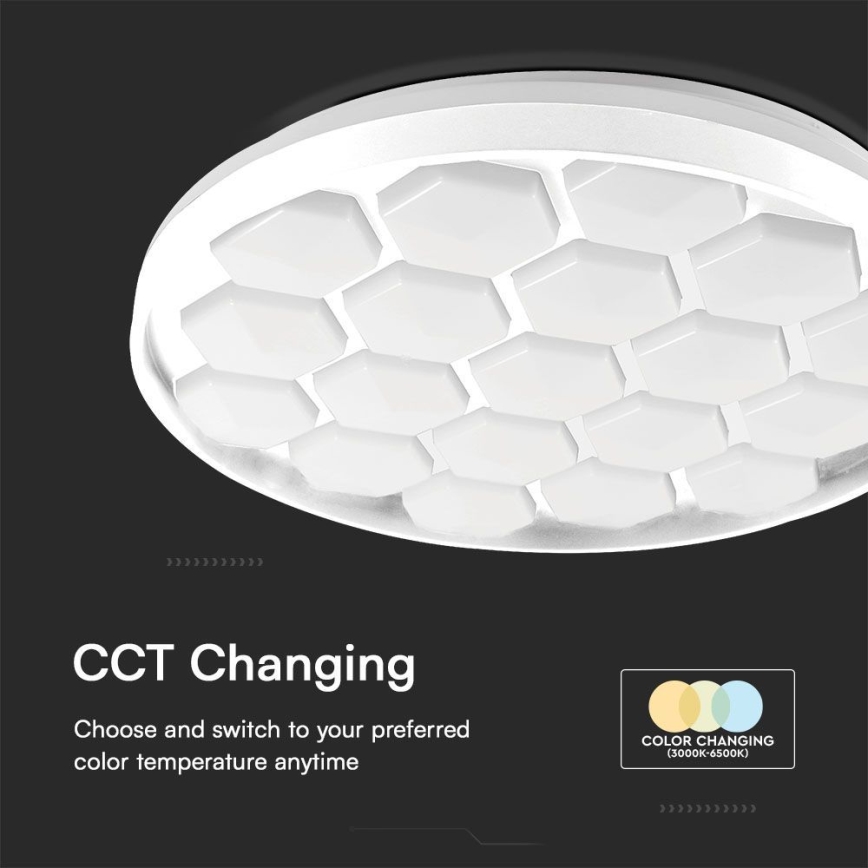 LED Dimmable ceiling light LED/60W/230V 3000/4000/6500K + remote control